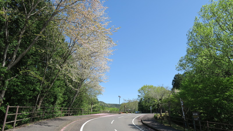 f:id:takemaru2018:20220416151837j:plain