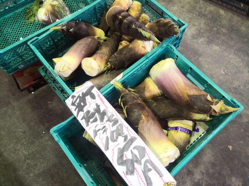 f:id:takemaru2018:20220416152128j:plain