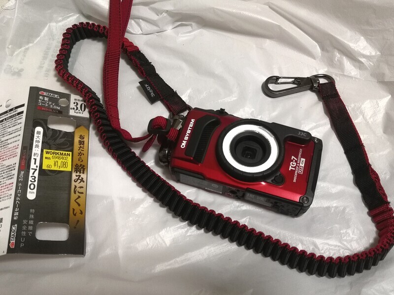 新しくコンデジを購入しました - 蠢動記Ⅱ