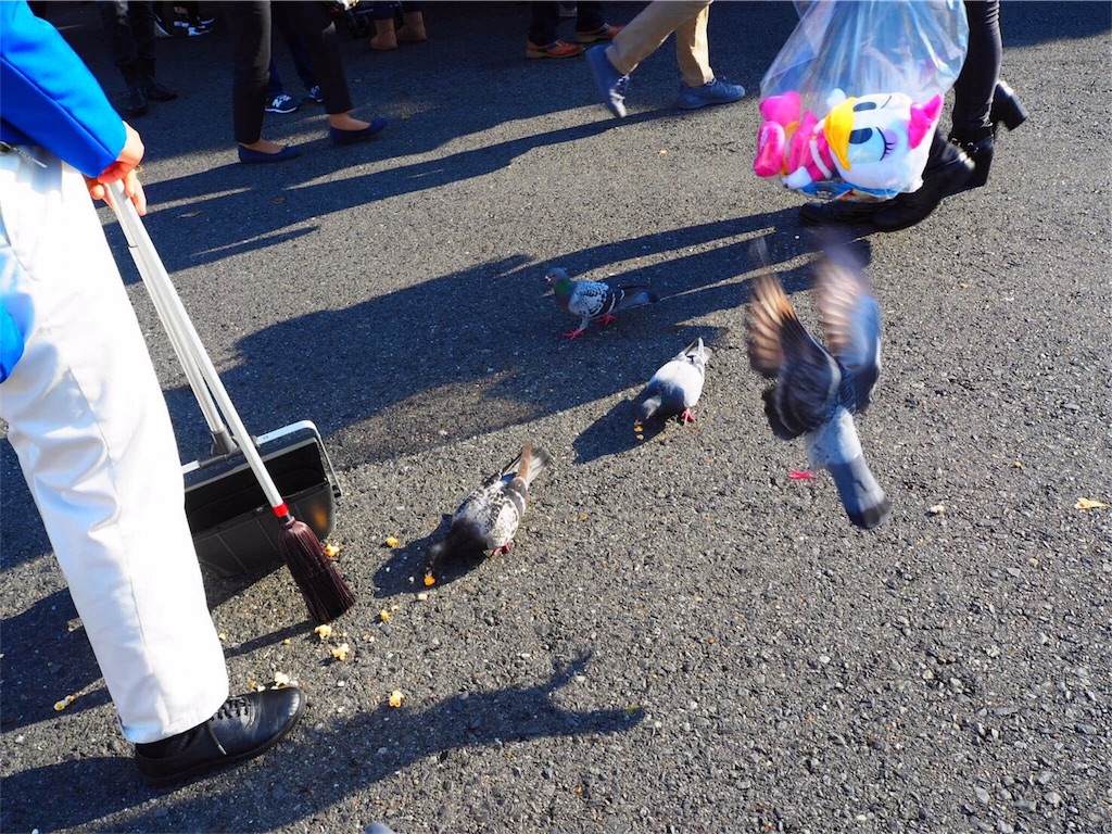 f:id:takenoko6285:20161206181817j:image