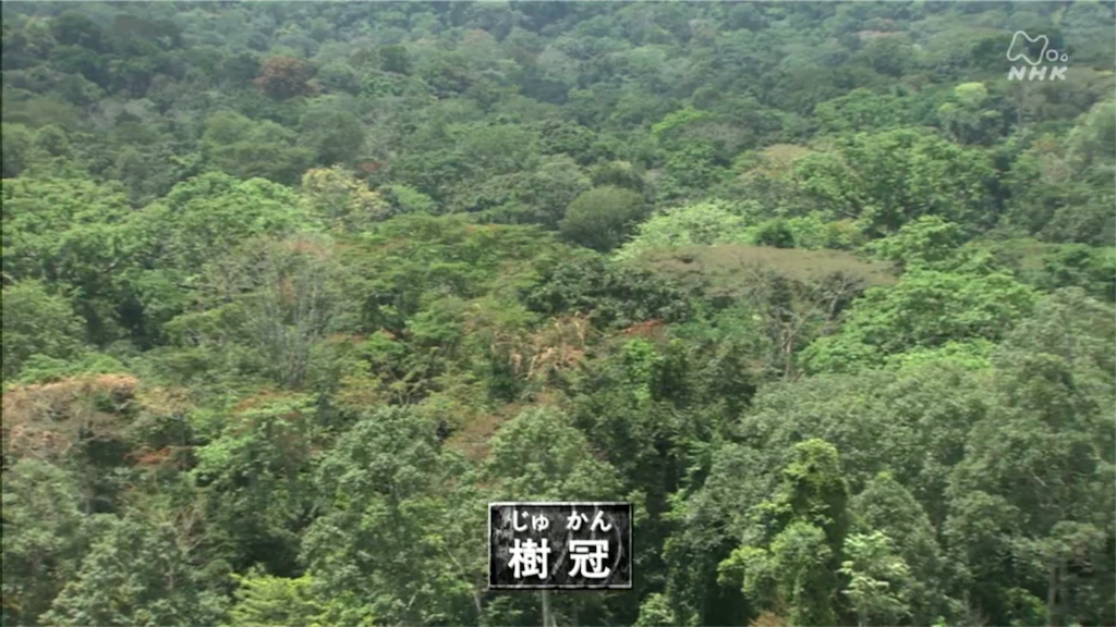 f:id:takeo1954:20170316052527p:image