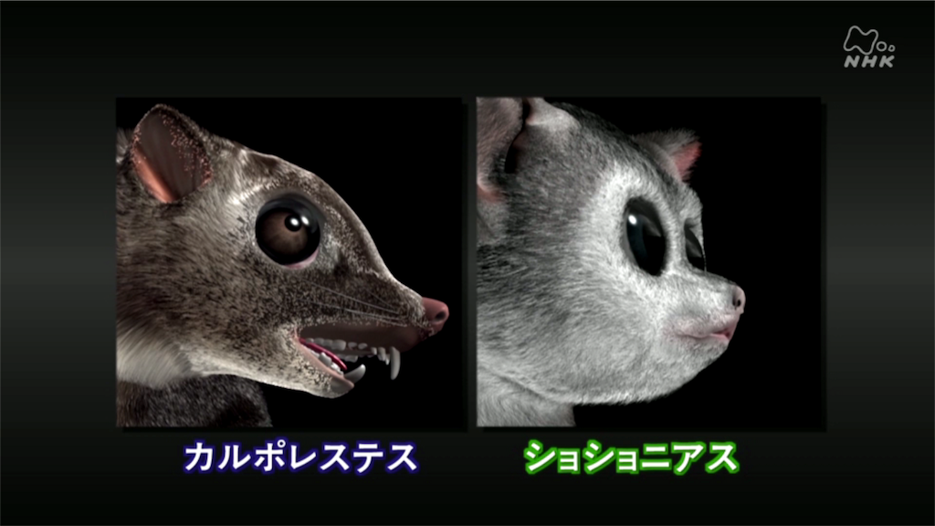 f:id:takeo1954:20170316053914p:image