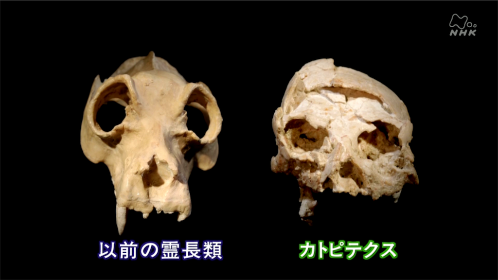 f:id:takeo1954:20170320113608p:image