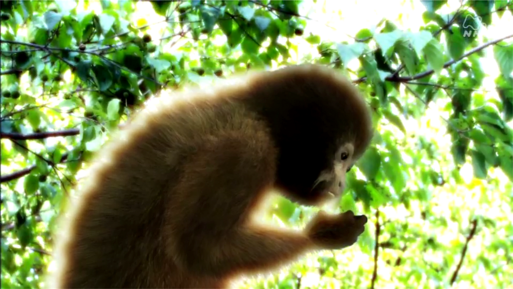 f:id:takeo1954:20170320113714p:image