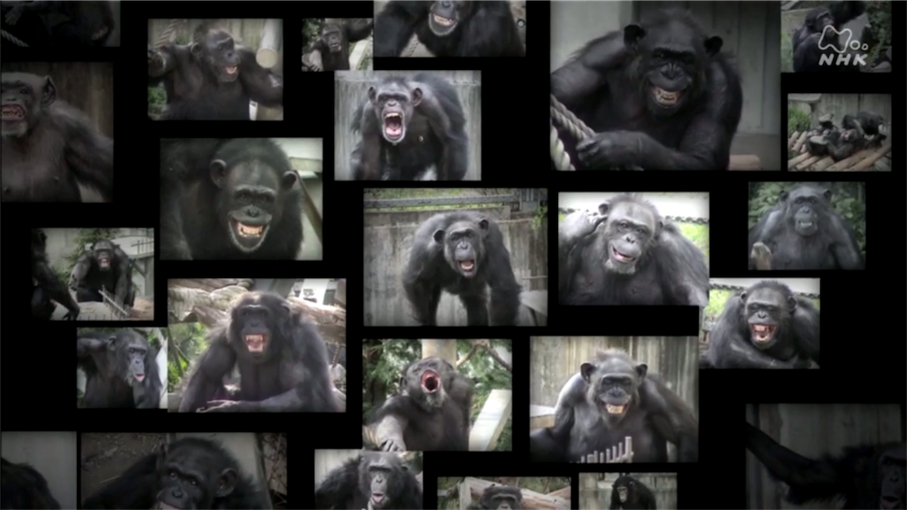 f:id:takeo1954:20170320173552p:image