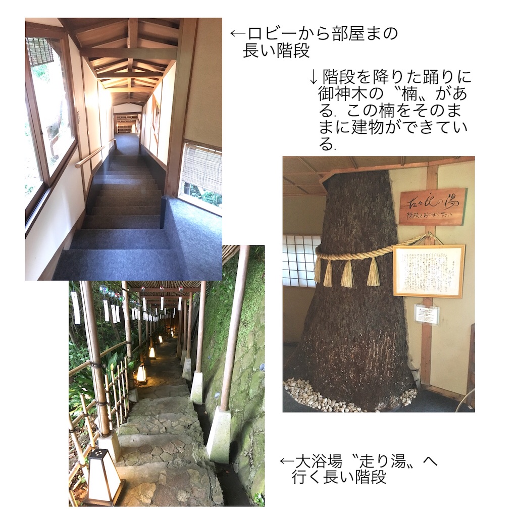 f:id:takeo1954:20170904135951j:image f:id:takeo1954:20170904135951j:image