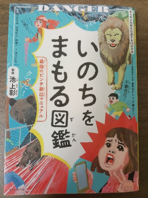 f:id:takeoido:20250812122834j:image
