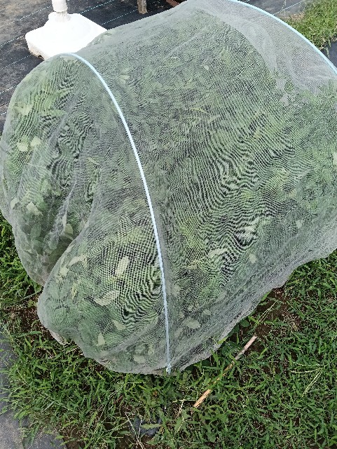 f:id:takeoido:20250914153836j:image