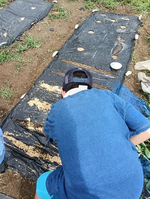 f:id:takeoido:20250914184240j:image