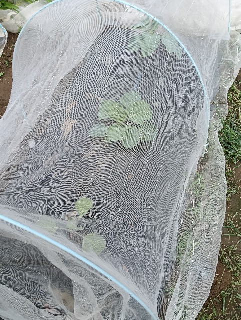 f:id:takeoido:20251012211911j:image