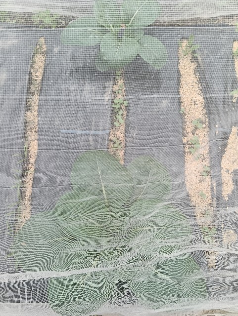 f:id:takeoido:20251019155030j:image