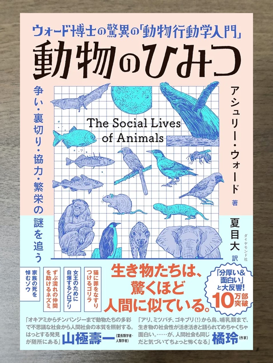 f:id:takeoido:20260518174451j:image f:id:takeoido:20260518174451j:image