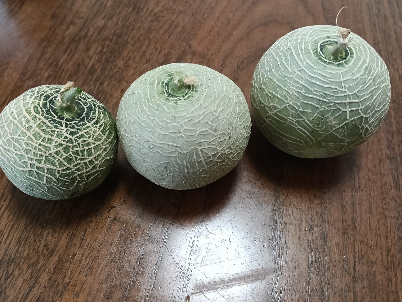 f:id:takeoido:20260819193840j:image f:id:takeoido:20260819193840j:image