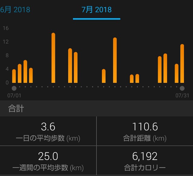 f:id:takeoki:20180731082848j:image f:id:takeoki:20180731082848j:image