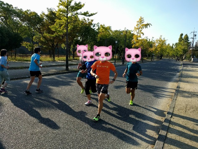 f:id:takeoki:20181028145549j:image