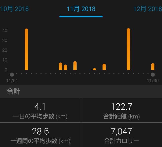 f:id:takeoki:20181201094706j:image f:id:takeoki:20181201094706j:image