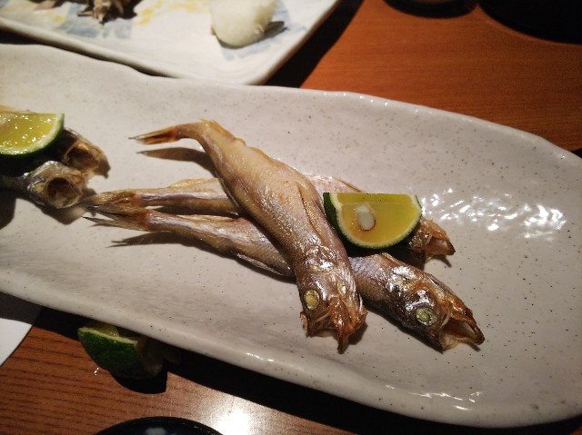 f:id:takeoki:20190201080335j:image f:id:takeoki:20190201080335j:image