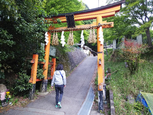f:id:takeoki:20190507102226j:image f:id:takeoki:20190507102226j:image