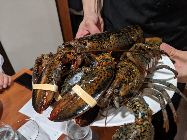 f:id:takeoki:20190829080330j:image