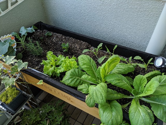 f:id:takeoki:20190917080541j:image