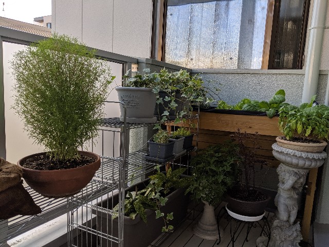 f:id:takeoki:20190917080552j:image