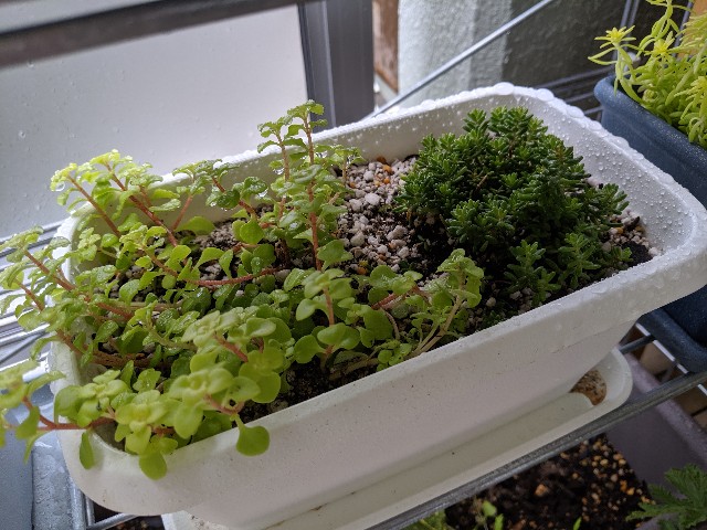 f:id:takeoki:20190924081254j:image