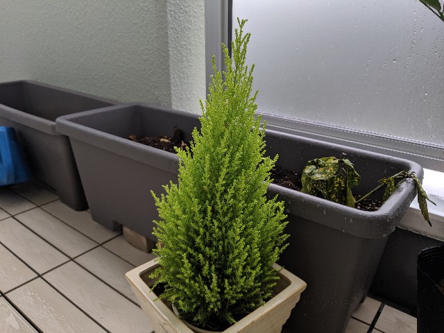 f:id:takeoki:20190924081310j:image