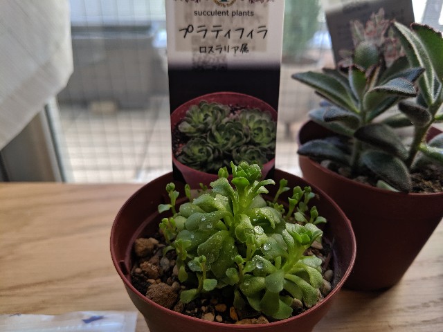 f:id:takeoki:20190925081548j:image