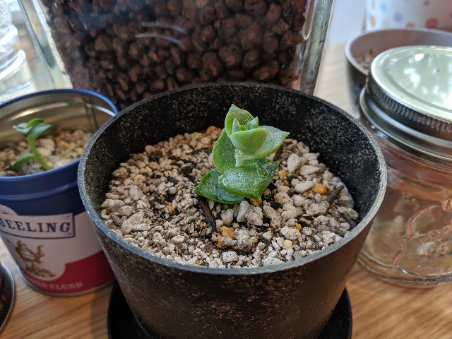 f:id:takeoki:20190925081556j:image