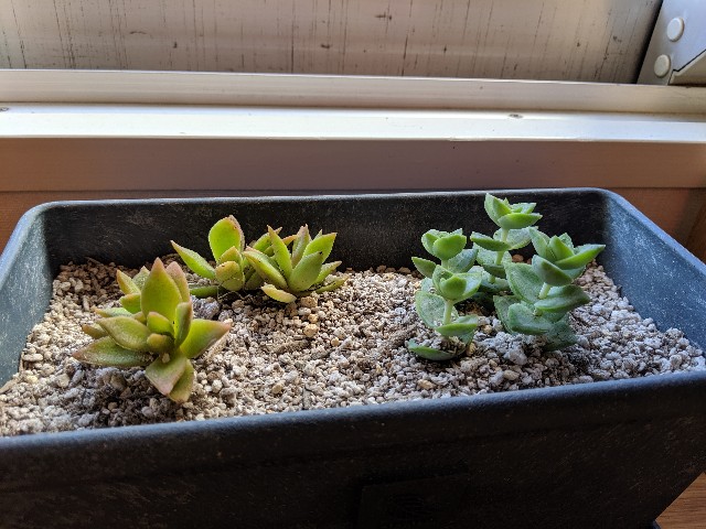 f:id:takeoki:20190925081602j:image