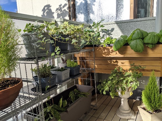 f:id:takeoki:20190925081623j:image