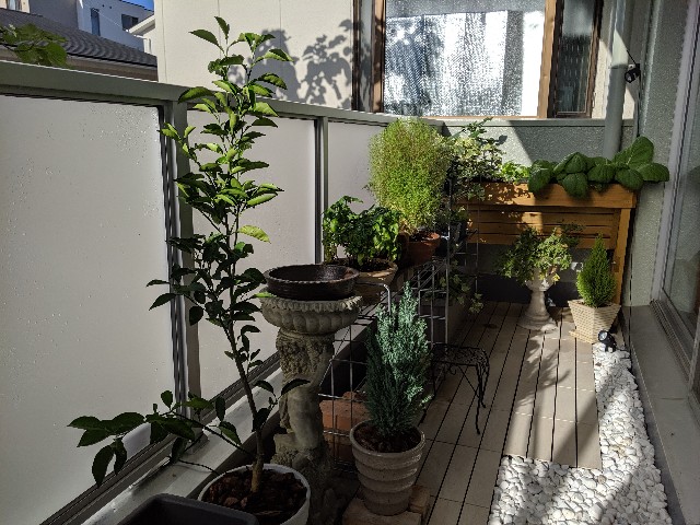 f:id:takeoki:20190925081632j:image