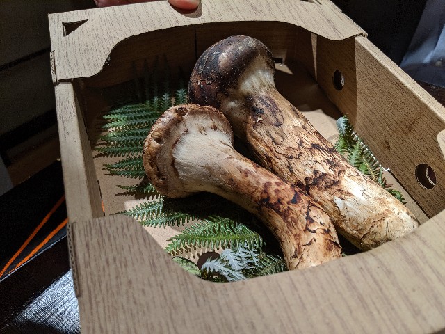 f:id:takeoki:20191023080622j:image f:id:takeoki:20191023080622j:image