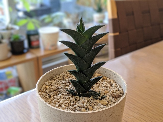 f:id:takeoki:20191106164454j:image f:id:takeoki:20191106164454j:image