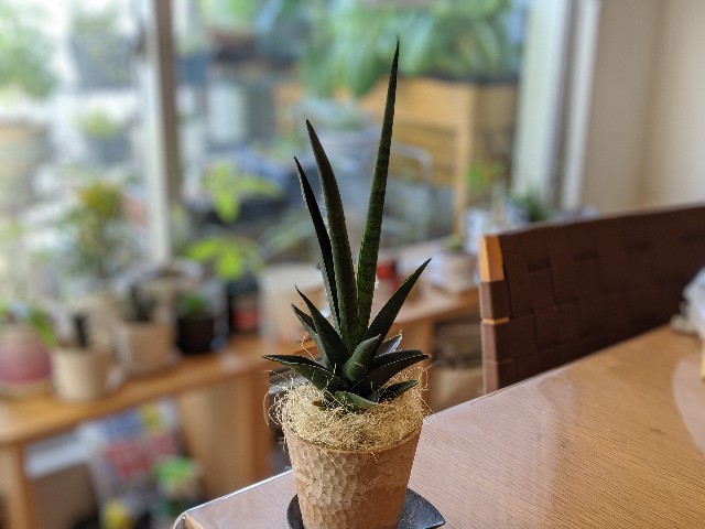 f:id:takeoki:20191106164511j:image f:id:takeoki:20191106164511j:image