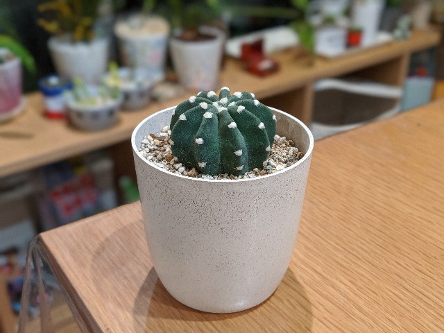 f:id:takeoki:20191112080851j:image f:id:takeoki:20191112080851j:image