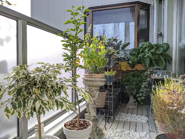 f:id:takeoki:20191112080917j:image f:id:takeoki:20191112080917j:image