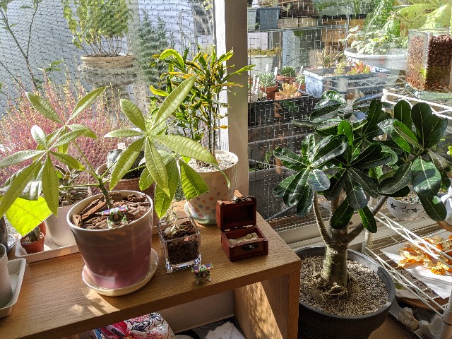 f:id:takeoki:20191126080715j:image