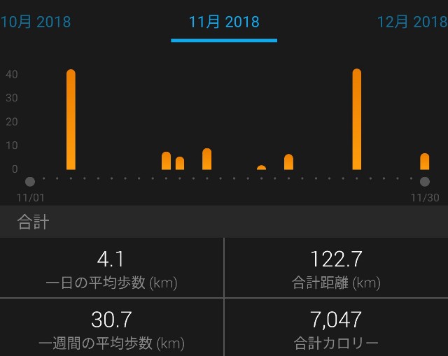 f:id:takeoki:20191130091827j:image f:id:takeoki:20191130091827j:image