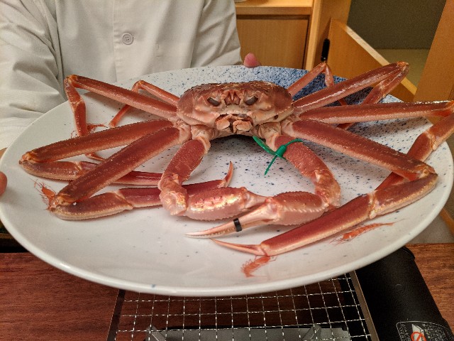 f:id:takeoki:20191218080913j:image