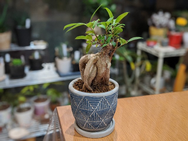 f:id:takeoki:20191223080933j:image f:id:takeoki:20191223080933j:image