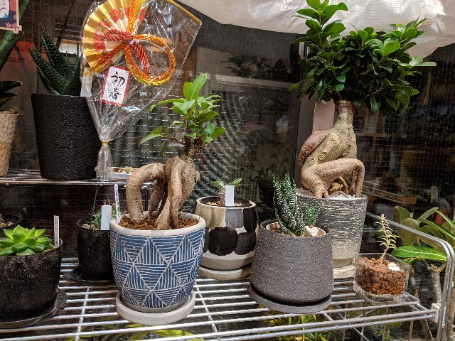 f:id:takeoki:20191223080952j:image f:id:takeoki:20191223080952j:image
