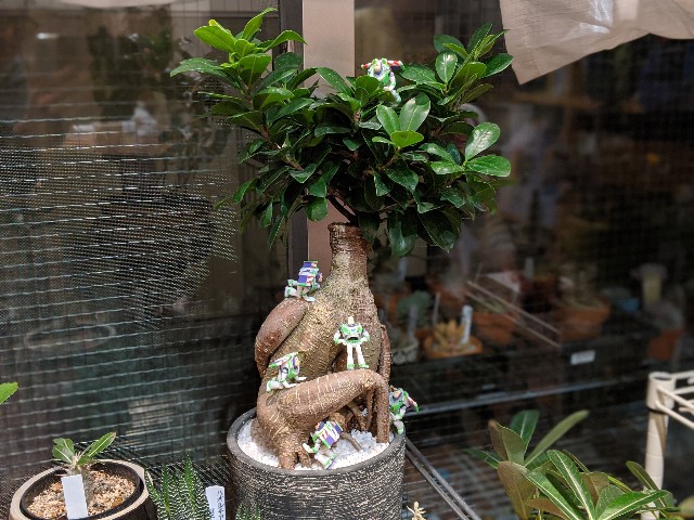 f:id:takeoki:20191223081003j:image f:id:takeoki:20191223081003j:image