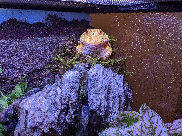 f:id:takeoki:20200215103638j:plain f:id:takeoki:20200215103638j:plain
