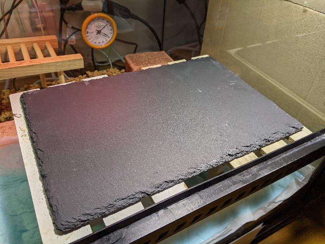 f:id:takeoki:20210225075920j:image f:id:takeoki:20210225075920j:image