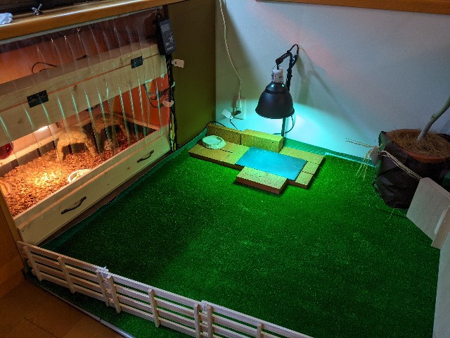 f:id:takeoki:20210308081038j:image