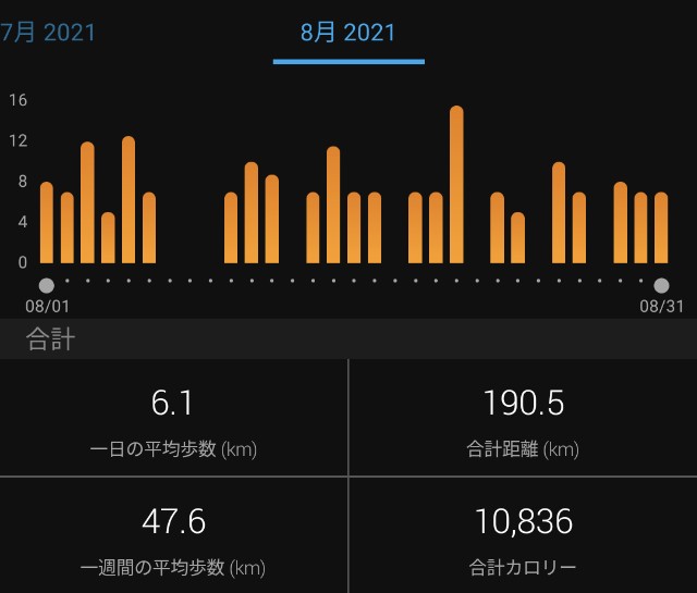 f:id:takeoki:20210831080022j:image