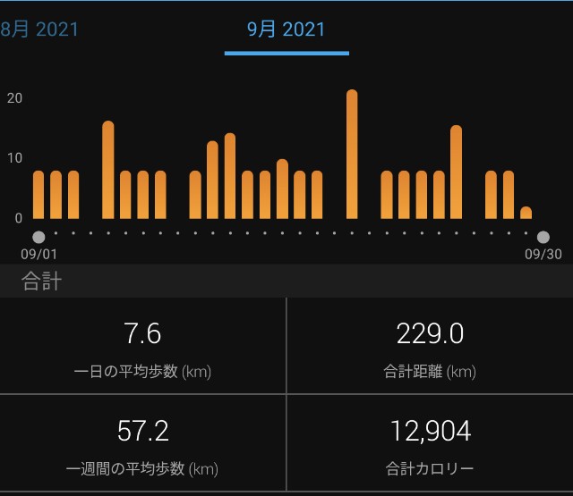 f:id:takeoki:20211001080352j:image