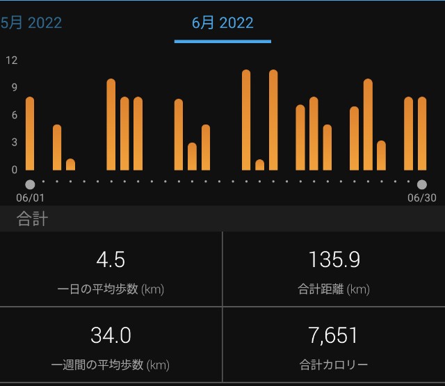 f:id:takeoki:20220630080308j:image f:id:takeoki:20220630080308j:image