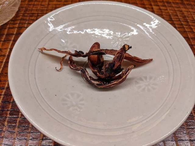 f:id:takeoki:20220926075855j:image